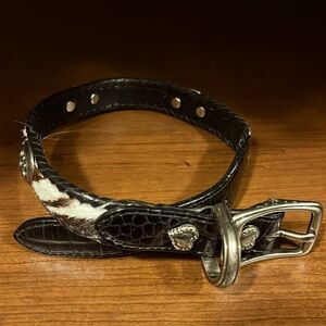 🐶 BRIGHTON dog collar zebra print cowhide and black leather with Silver Buckle